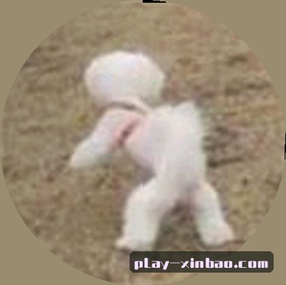 王磊
